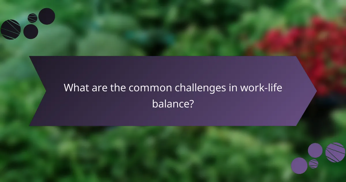 What are the common challenges in work-life balance?